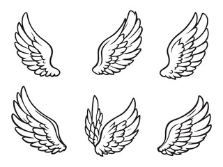 Pegasus Wing line art vector illustration