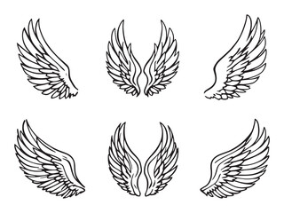 Pegasus Wing line art vector illustration
