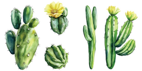 Fototapeta premium Watercolor cactus collection with yellow flowers on transparent background vector png