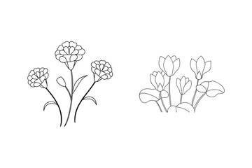 Elegant minimalist floral line drawings featuring carnations and cyclamen for creative designs
