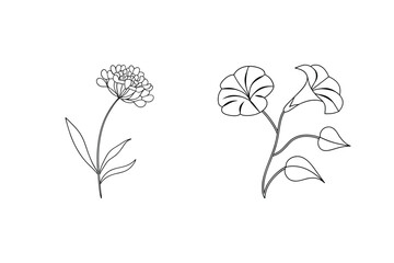 Elegant black and white floral line art depicting two beautiful flower illustrations