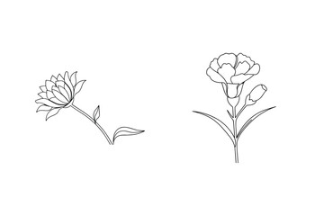 Minimalist line art illustration of two elegant flowers perfect for decorative design
