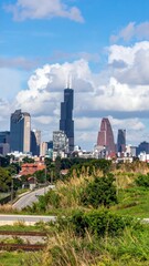 Obraz premium City Skyline Featuring Wildlife Interacting with Urban Environment