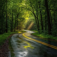 Obraz premium Curving Road Through Lush Green Forest After Rain, Sunlight Streaming Through Trees