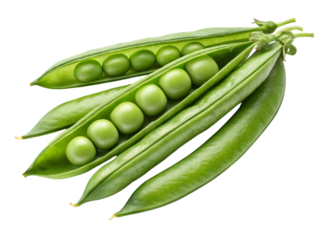 Organic Green Peas in Opened Pods on Clean White Background.