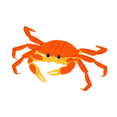 Sea crab. Marine animal. Seafood illustration in flat style. Red crab on a white background. 