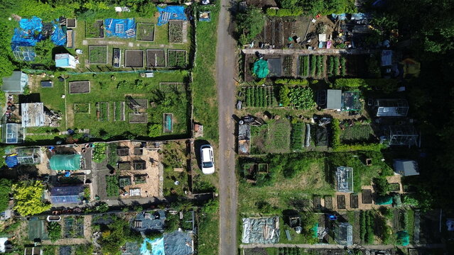 Aerial view of open allotment space - detailing  small agricultural plots.