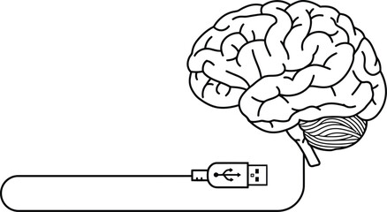 Brain Connected to USB Cable - Minimalist Vector