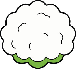 white cauliflower with white background
