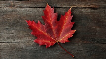 Obraz premium Top view of red maple leaf on dark wood background, showcasing vibrant red color and detailed leaf texture.