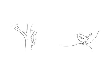 Minimalist line drawing of a woodpecker and bird perched on a branch in nature