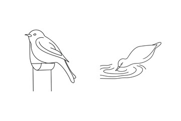 Minimalist black and white line art depicting a perched bird and a drinking bird
