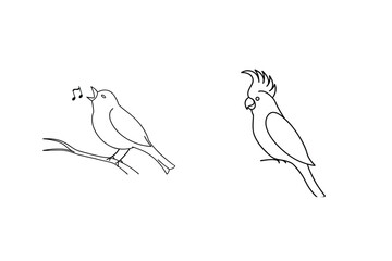 Simple line art illustration of a singing bird and a cockatoo perched on a branch