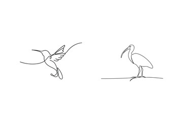 Minimalist linear drawings of a hummingbird in flight and an ibis bird on white background