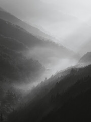 山の霧の景色