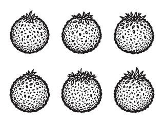 Falafel line art vector illustration