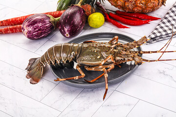 Raw wild fresh spiny lobster