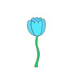  Blue Tulips flower