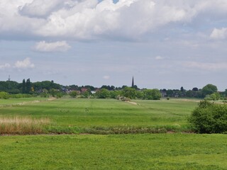 Haseldorfer Marsch bei Wedel im Frühling