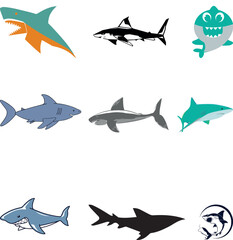 shark vector