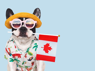 Cute puppy, sun hat, sunglasses and Canadian Flag. Closeup, indoors. Studio shot. Congratulations...