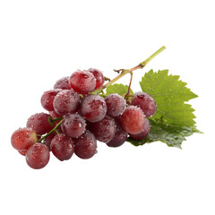 Fresh red grapes with water droplets on a vine healthy fruit for food and beverage design isolated on transparent background
