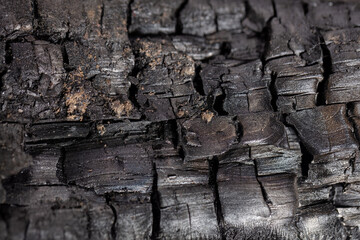 Charred wood surface showcasing textures and details in natural light