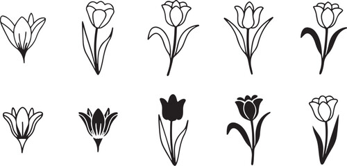 Tulip Floral Vector. Flower Set, Outline. Tulip Flowers Bundle.