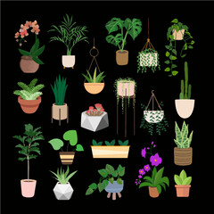 Plant-themed stickers with aesthetic vases with fresh plants and simple design