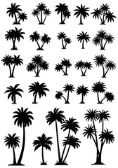 Palm Silhouette Collection