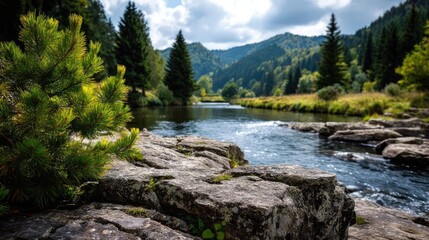 Scenic view of lake in pine forest beside nature park concept. Serene river flowing through a lush green landscape and rocky shore.