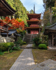 Naklejka premium The beautiful Chomeiji Temple during fall season, on Lake Biwa, near the town of Omihachiman. Shiga Prefecture, Japan.