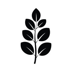 Flat and Minimal Silver Dollar Eucalyptus silhouette logo vector illustration isolated on white background