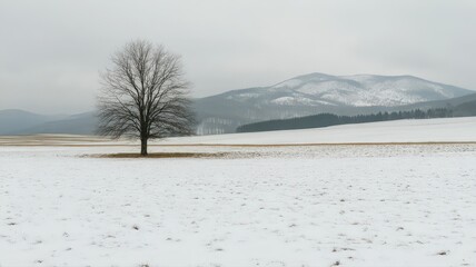 Lonely Bare Tree on a Snow-Covered Winter Field with Cinematic Cold Tone