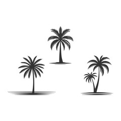Fototapeta premium Palm trees vector on white background. Palm tree logo designs.