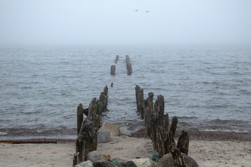 A foggy beach scene with weathered wooden posts stretching into the sea. Soft sand and moody light evoke quiet solitude and timeless decay along a forgotten shoreline.