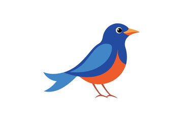 Obraz premium blue bird isolated on white background