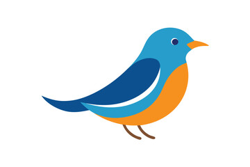 blue bird isolated on white background