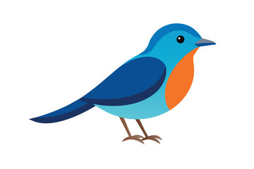 blue bird isolated on white background
