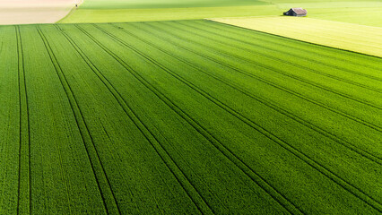 Wide drone shot of Swiss farmland landscape