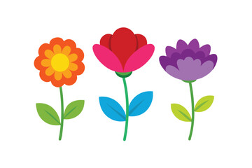 red tulips on white background