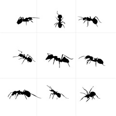 Ant black and white vector set