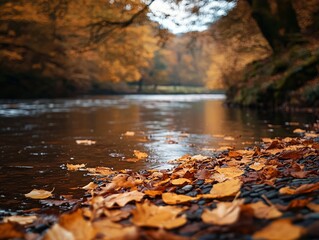 Fototapeta premium Tranquil autumn river scene riverside nature photography serene environment close-up peaceful reflection