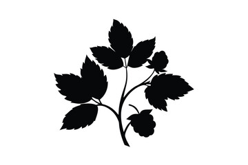 black and white flowers