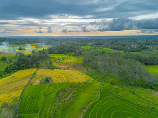 beautiful morning view indonesia panorama landscape paddy fields with beauty color and sky natural light