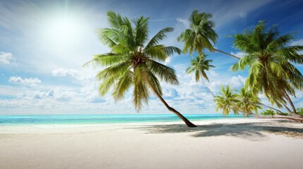 Obraz premium Serene Tropical Beach Scene with Leaning Palm Trees under Bright Sunlight and Clear Blue Sky, Ideal for Vacation and Relaxation Themes
