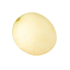 Cantaloupe cutout, full depth of field.