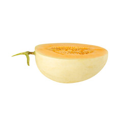 Cantaloupe half cutout, full depth of field.