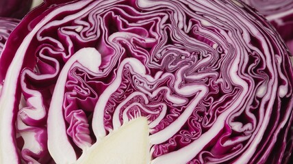 Fototapeta premium Close-up of a finely sliced red cabbage showing intricate patterns and vibrant colors.