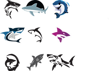 wild shark vector
